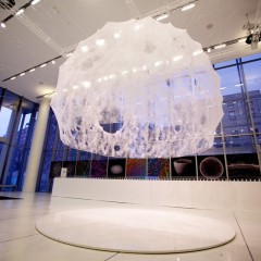 © Markus Kayser, Jared Laucks, Jorge Duro-Royo, Carlos David Gonzalez Uribe,  and Prof. Neri Oxman, The Silk Pavillion project, Mediated Matter Group at the MIT Media Lab.,  da: www.mediatedmattergroup.com